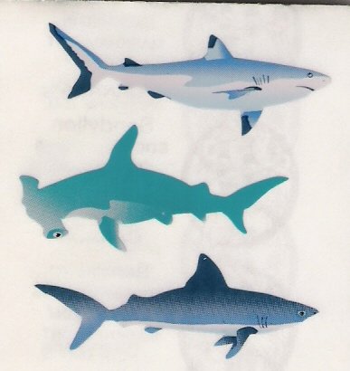 Sharks
