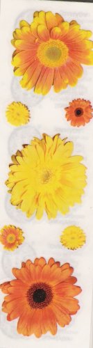 Orange and Yellow Daisys