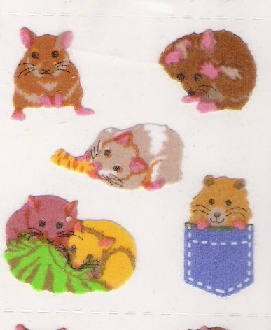 Fuzzy Hampsters