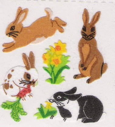 Fuzzy Rabbits