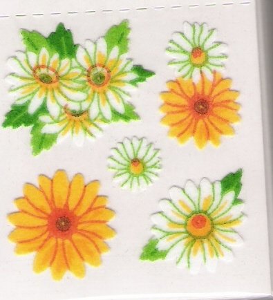 Fuzzy Yellow and White Flowers