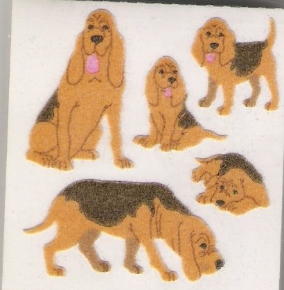 Daschund Dog