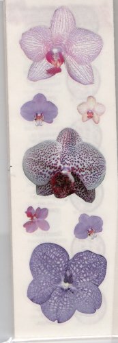 Purple Violets