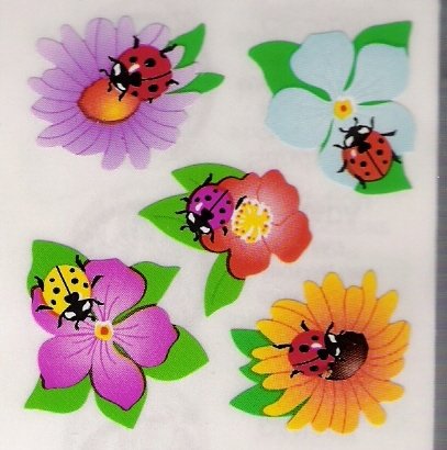 Ladybugs in Flowers