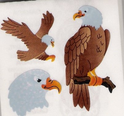 Hawk