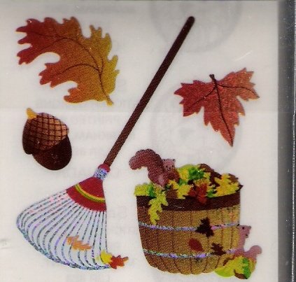 Leaves and Rake