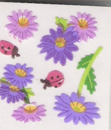 Fuzzy Puple Flowers