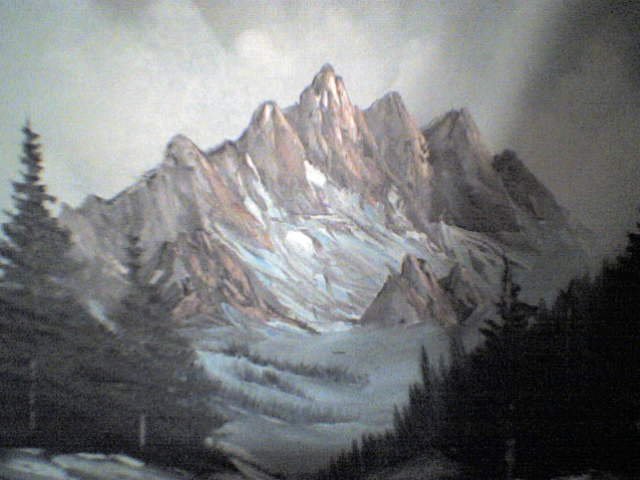 P004