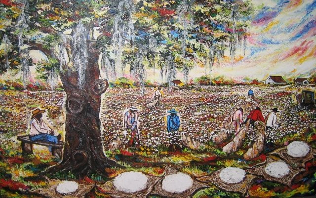 Fields Of Cotton