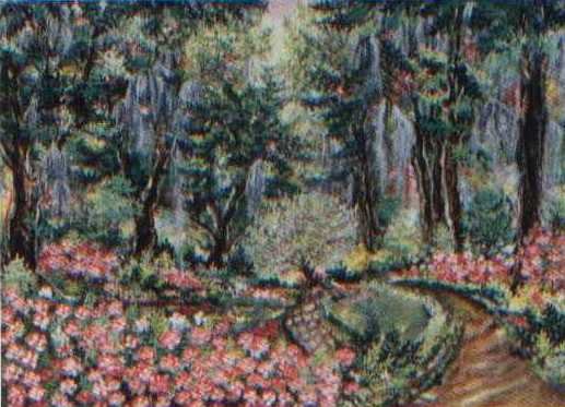 Edisto Garden