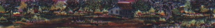 Wisteria