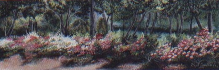 Spring Splendor