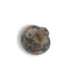 knob3-Baltic Brown