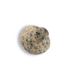 knob3-Gold Carioca