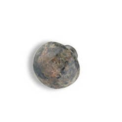 knob3-Tropical Brown