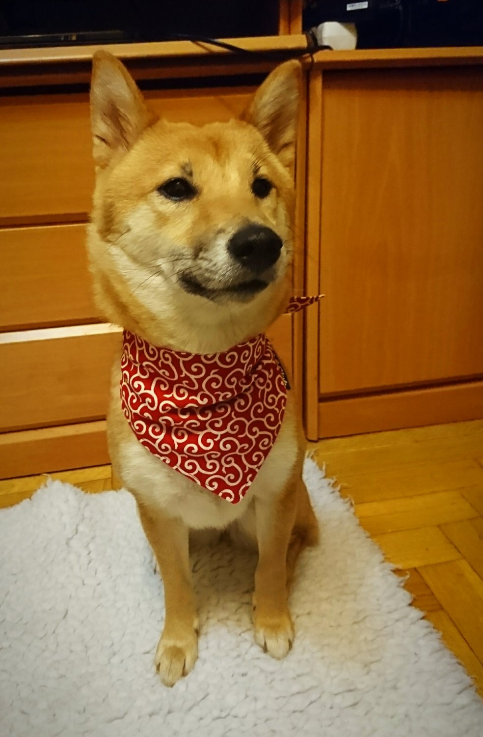 Dog Bandana for Japanese KARAKUSA "Small-patterned Red"