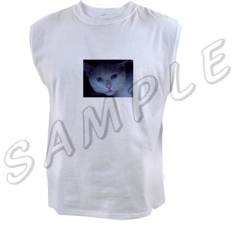 Men's Sleeveless Tee