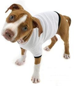 Doggie Tee-Shirt
