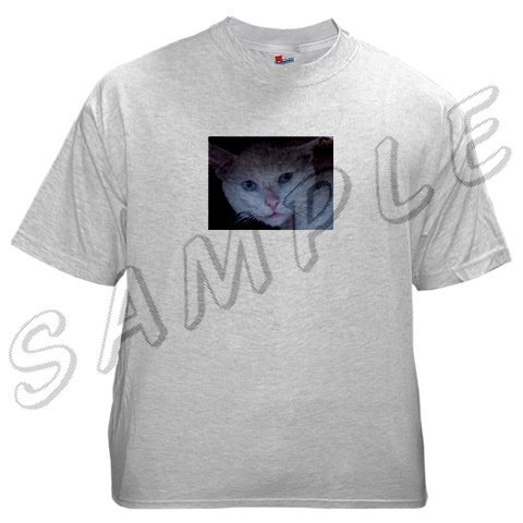 Ash Grey Tee-Shirt