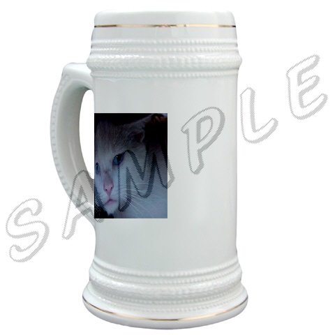 Stein