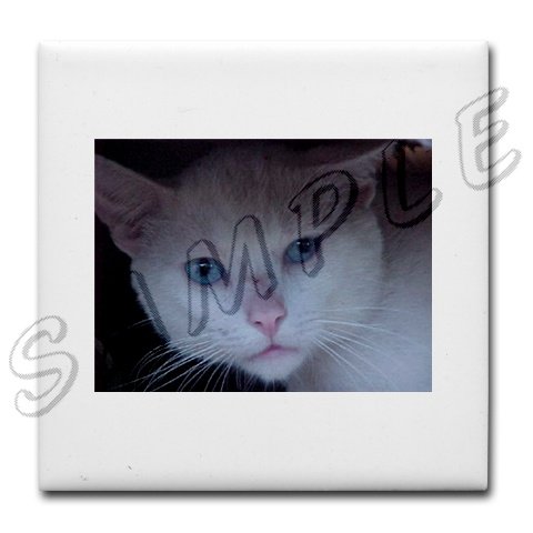 Tile Coaster