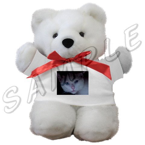 Teddy Bear