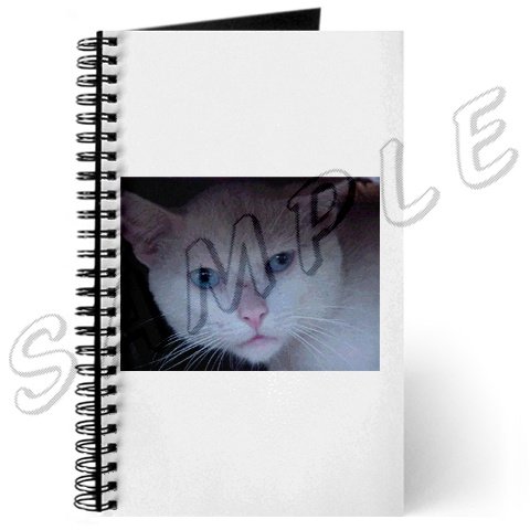 Journal
