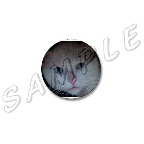 1" Metal Button