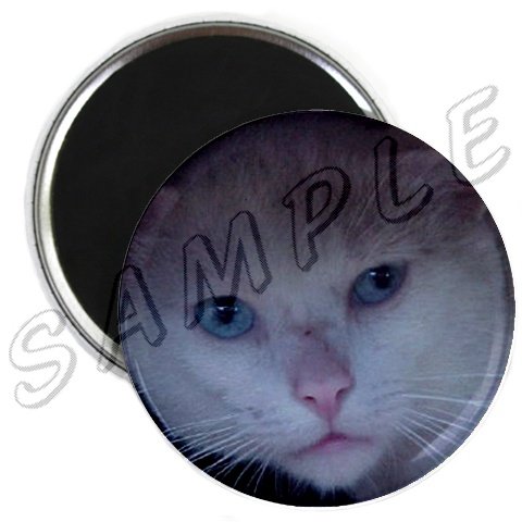 Round Magnet
