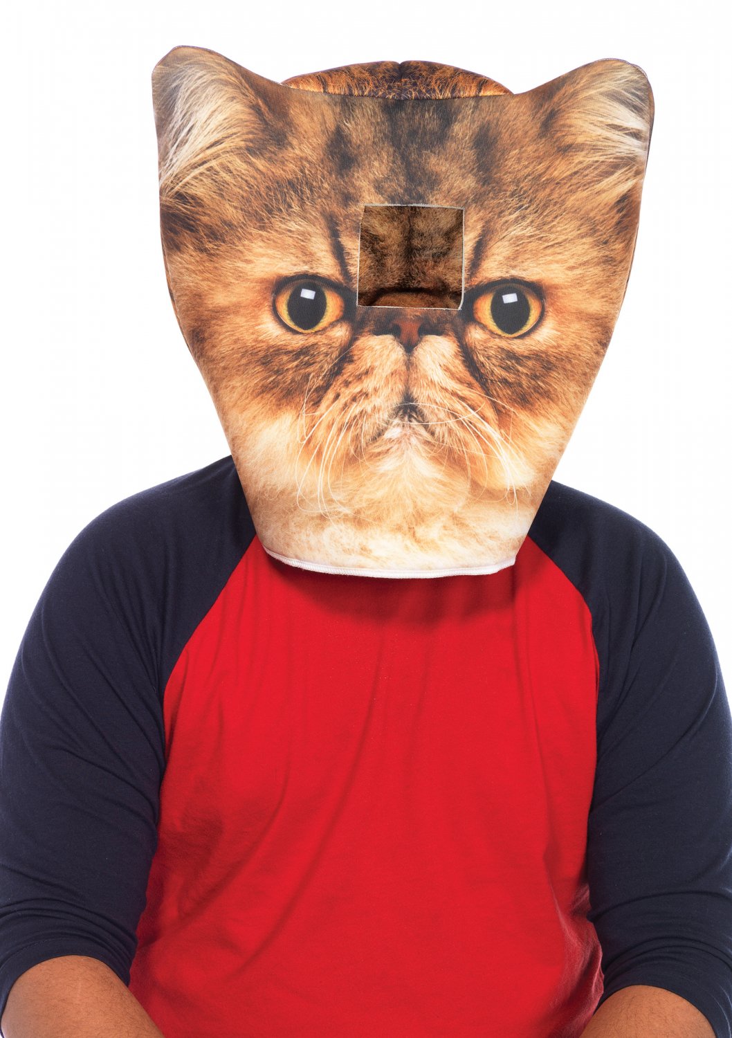 Foam Angry Cat