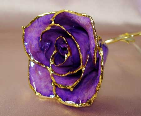 Purple Lacquered & 24k gold-plated rose with HEART stem