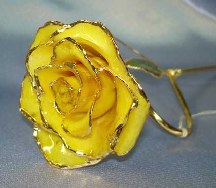 Lacquered & 24k gold-plated yellow rose with HEART stem