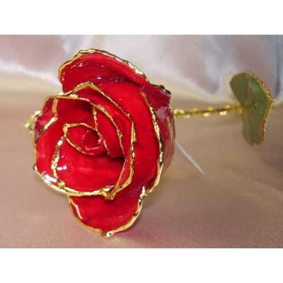 REAL RED ROSE stem - Lacquered & 24k gold-plated
