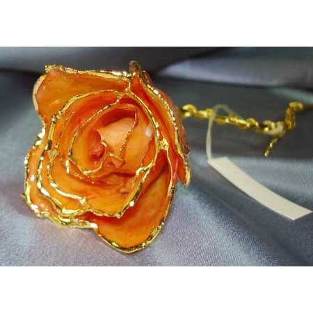 Lacquered & 24k gold-plated REAL Apricot ROSE