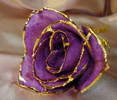 Lacquered & 24k gold-plated REAL PURPLE ROSE