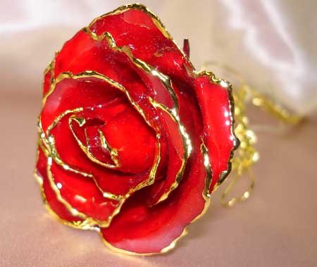 Lacquered & 24k gold-plated REAL RED ROSE
