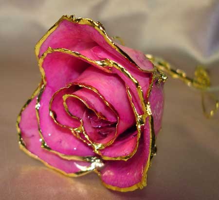 Lacquered & 24k gold-plated REAL PINK ROSE