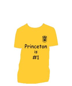 Princeton House Shirt