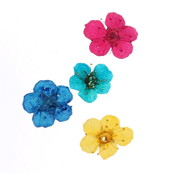 Dry Flower Acrylic UV Gel Nail Art Decoration Wheel DIY