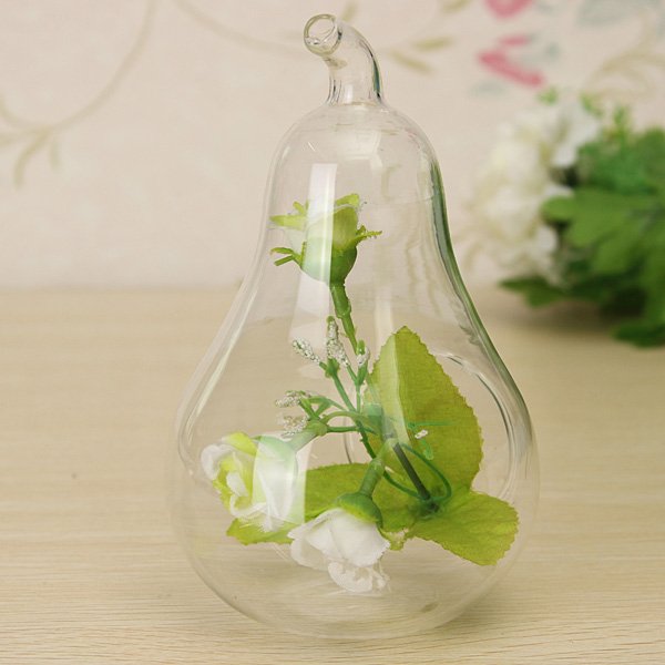 Apple/Pear Shape Crystal Hydroponic Plants Terrarium