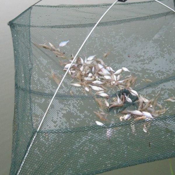 Foldable Fishing Trap Baits Cast Crab Minnow Crawdad Shrimp Dip Net
