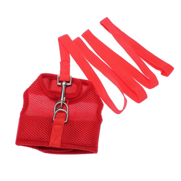 Size S Casual Pet Safety Leash With Mesh Girth Harness Vest Small