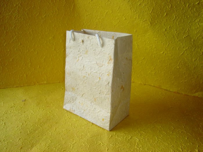 Large pineapple sa paper bags