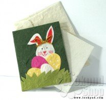 Cards (Animal Collection)