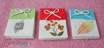 Mini diary