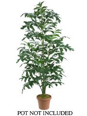 Silk Fishtail Palm Tree