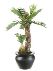 Artificial Cycas Palm