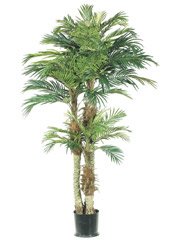 Artificial Phoenix Palm