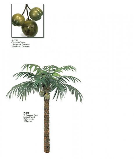 Coconut Palm Tree (9 feets tall)