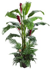 Guzmania, Heliconia, Areca, Banana Tropical Plant Silk Tree
